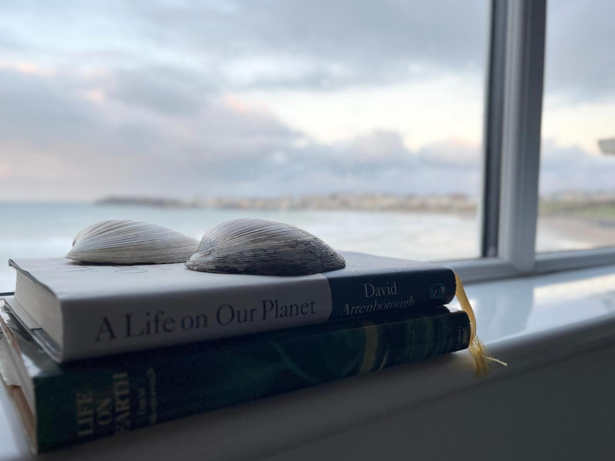 Sound Of The Sea - Penthouse In Portrush Appartement Buitenkant foto